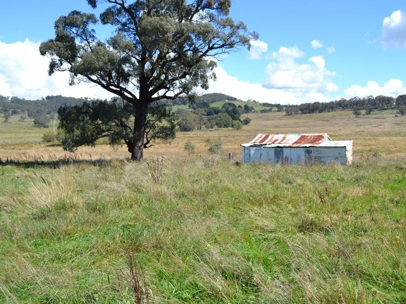 135 Old Western Road, Mount Lambie NSW 2790