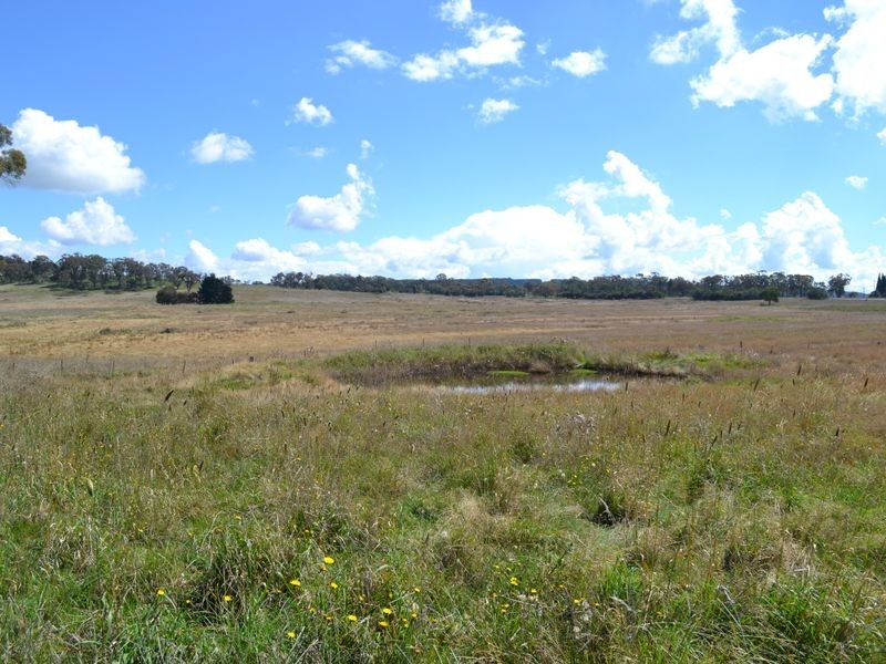 135 Old Western Road, Mount Lambie NSW 2790