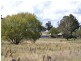 135 Old Western Road, Mount Lambie NSW 2790