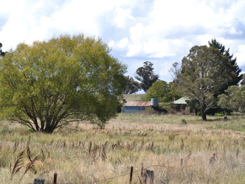 135 Old Western Road, Mount Lambie NSW 2790
