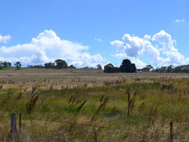 135 Old Western Road, Mount Lambie NSW 2790