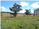 135 Old Western Road, Mount Lambie NSW 2790