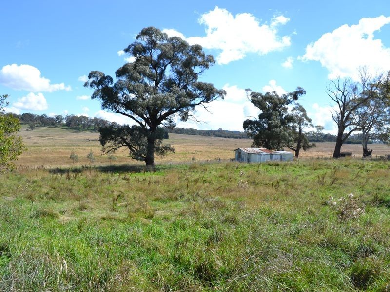 135 Old Western Road, Mount Lambie NSW 2790