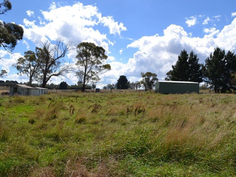 135 Old Western Road, Mount Lambie NSW 2790