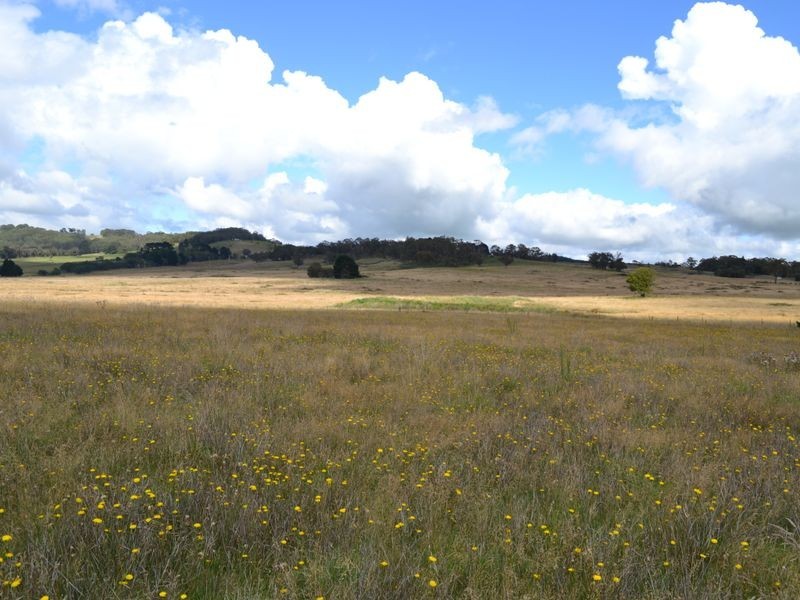 135 Old Western Road, Mount Lambie NSW 2790