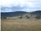 135 Old Western Road, Mount Lambie NSW 2790