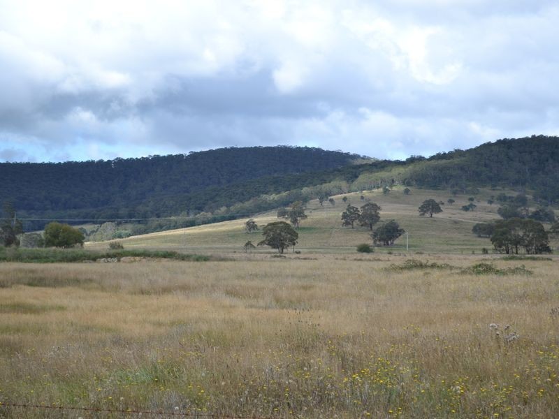 135 Old Western Road, Mount Lambie NSW 2790