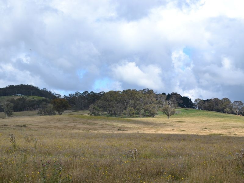 135 Old Western Road, Mount Lambie NSW 2790