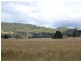 135 Old Western Road, Mount Lambie NSW 2790