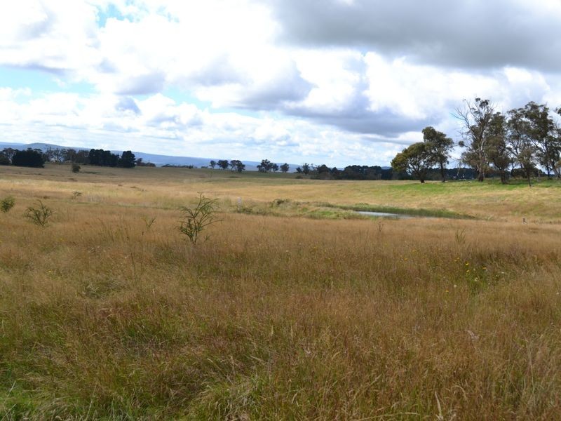135 Old Western Road, Mount Lambie NSW 2790