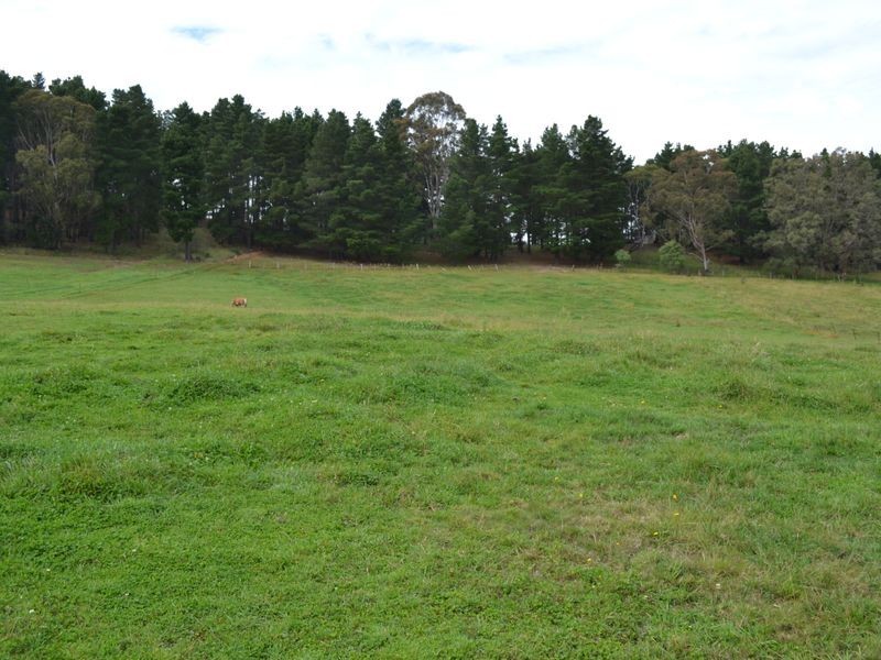 163 Baaners Road, Little Hartley NSW 2790
