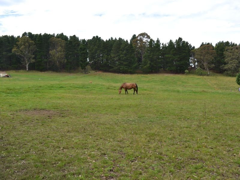 163 Baaners Road, Little Hartley NSW 2790