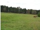 163 Baaners Road, Little Hartley NSW 2790
