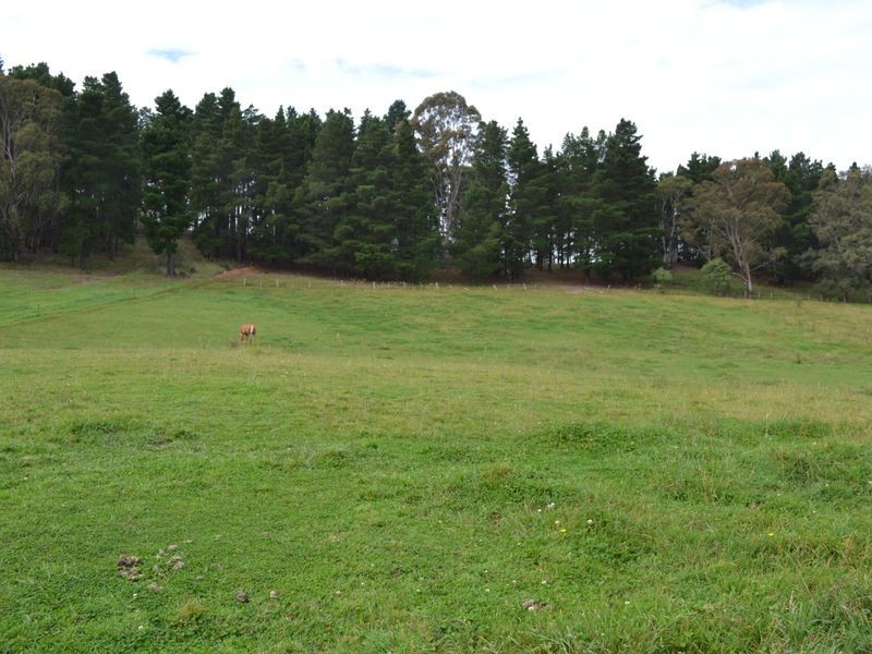 163 Baaners Road, Little Hartley NSW 2790