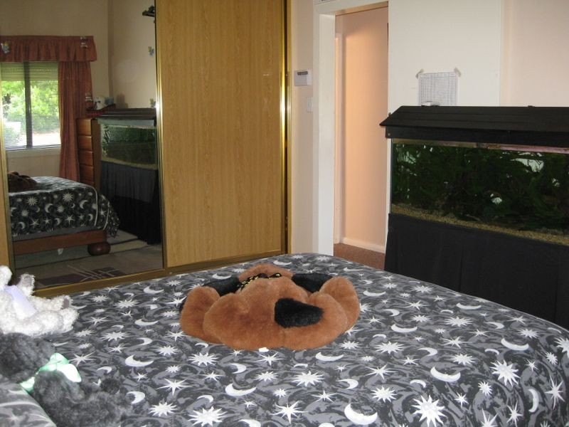 18 Calero Street, Lithgow NSW 2790