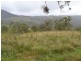 Lot 51 Stockyard Lane, South Bowenfels NSW 2790