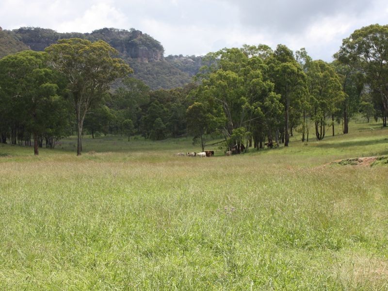 Lot 5 Wolgan Road, Ben Bullen NSW 2790