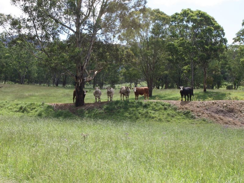 Lot 5 Wolgan Road, Ben Bullen NSW 2790