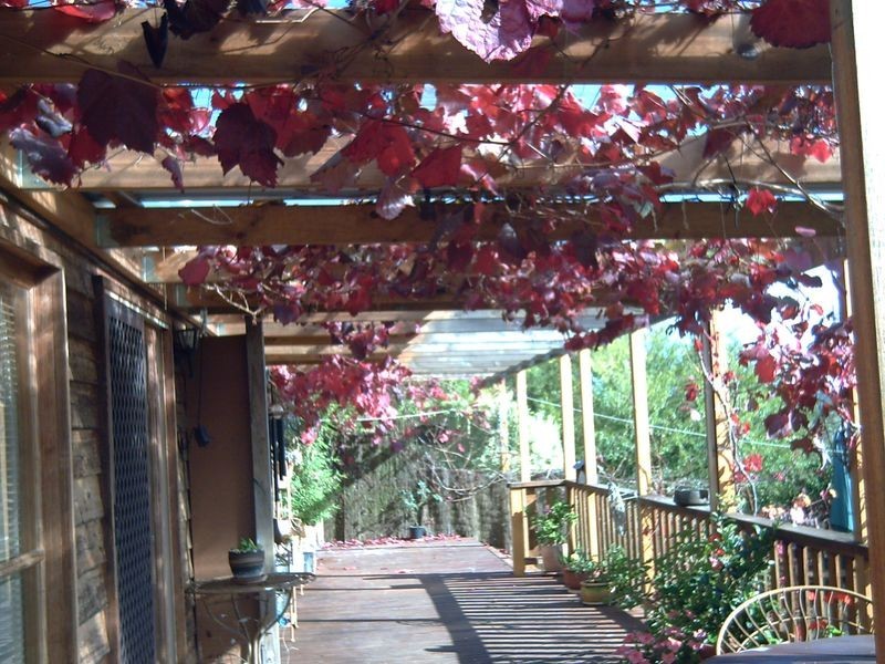 255 Cartwright Street, Rydal NSW 2790