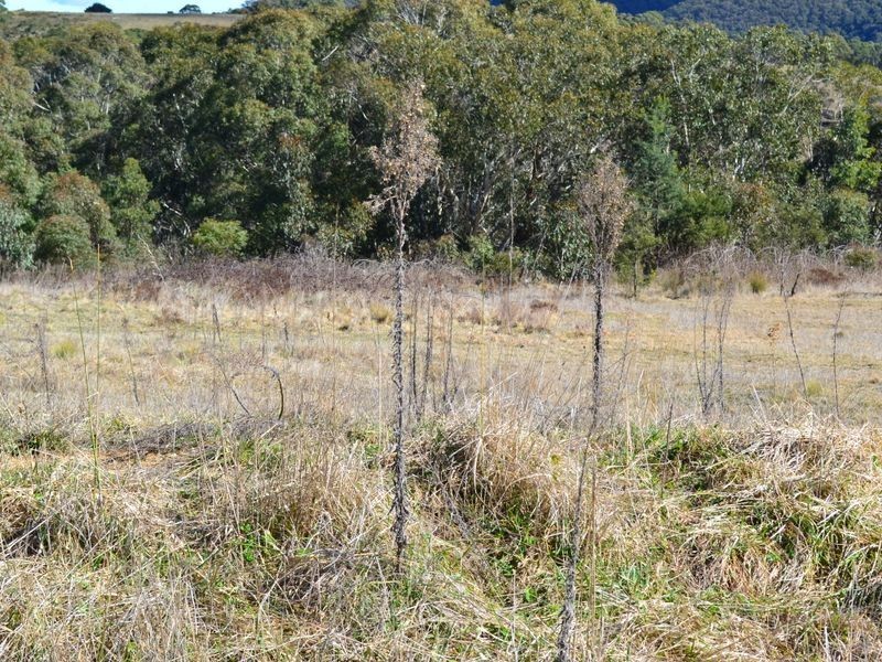 Lot 515 Hillcrest Avenue, Lithgow NSW 2790