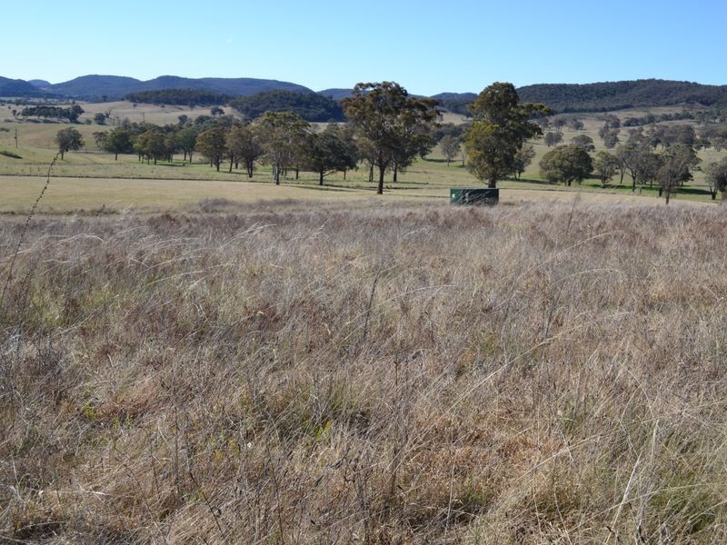 Lot 8 Back Cullen Road, Portland NSW 2847