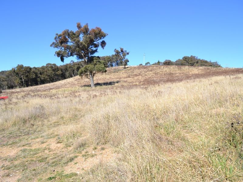 Lot 8 Back Cullen Road, Portland NSW 2847
