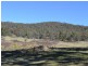Lot 2 Sodwalls/Tarana Road, Sodwalls NSW 2790