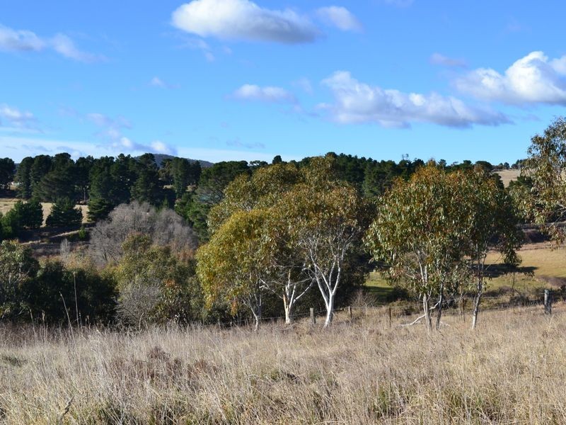 Lot 244 Henning Crescent, Wallerawang NSW 2845