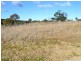 Lot 244 Henning Crescent, Wallerawang NSW 2845