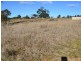 Lot 244 Henning Crescent, Wallerawang NSW 2845