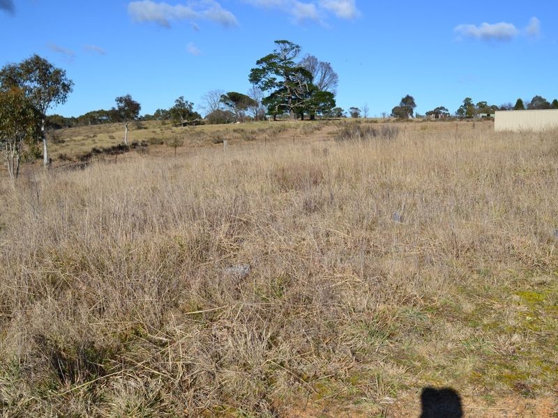 Lot 244 Henning Crescent, Wallerawang NSW 2845