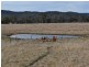 Railview, Cullen Bullen NSW 2790