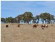 Railview, Cullen Bullen NSW 2790