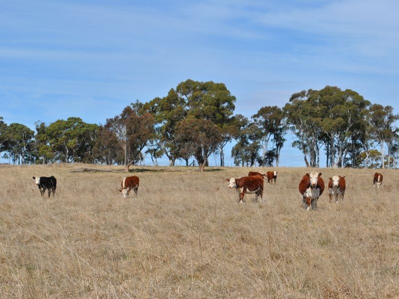 Railview, Cullen Bullen NSW 2790