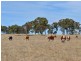 Railview, Cullen Bullen NSW 2790