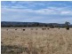 Railview, Cullen Bullen NSW 2790