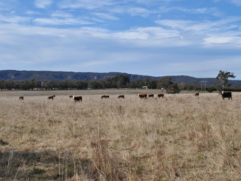 Railview, Cullen Bullen NSW 2790
