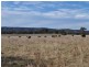 Railview, Cullen Bullen NSW 2790