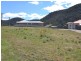 Lot 4 Ivatt Street, Lithgow NSW 2790