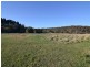 Lot 21 Wallerawang Road, Pipers Flat NSW 2847