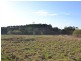 Lot 21 Wallerawang Road, Pipers Flat NSW 2847