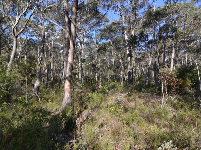 Lot 41 Valley View Road, Dargan NSW 2786