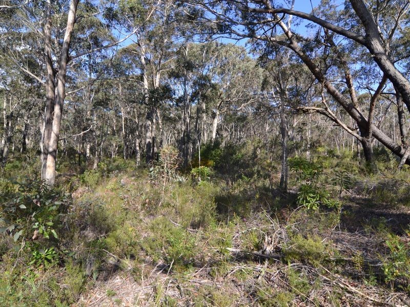 Lot 41 Valley View Road, Dargan NSW 2786