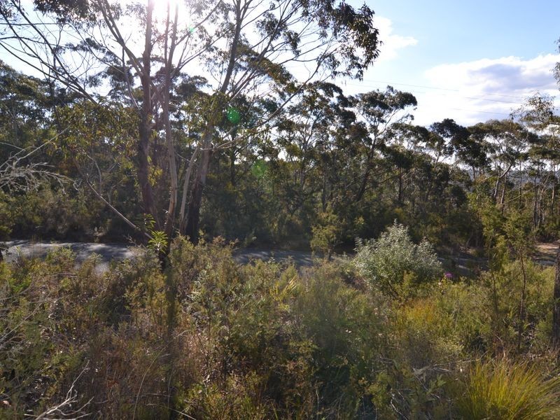 Lot 41 Valley View Road, Dargan NSW 2786