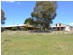 3052 Castlereagh Highway, Ben Bullen NSW 2790