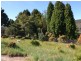 1 Hughes Lane, Marrangaroo NSW 2790