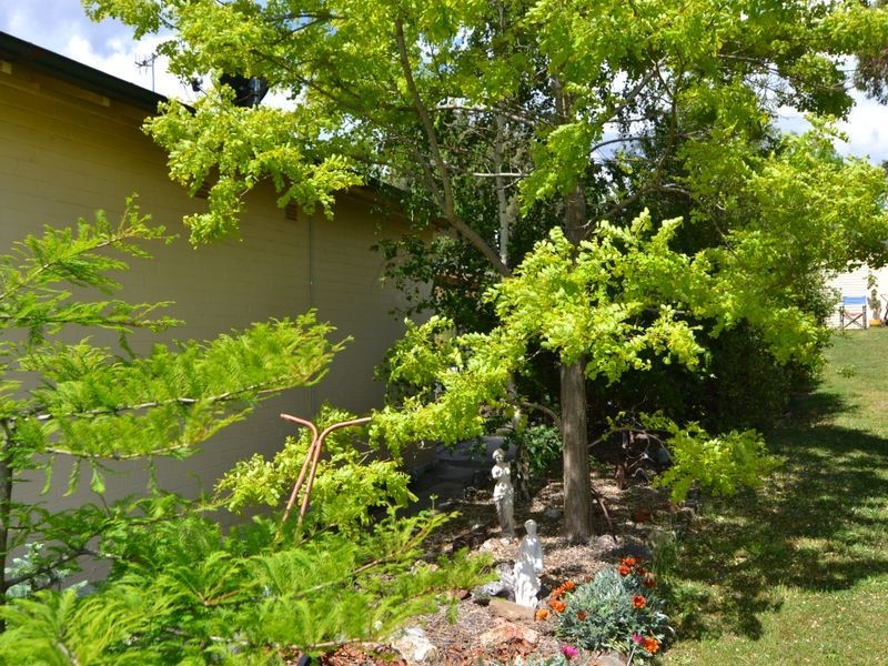 3 Park Avenue, Portland NSW 2847