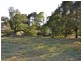 496 Back Cullen Road, Portland NSW 2847
