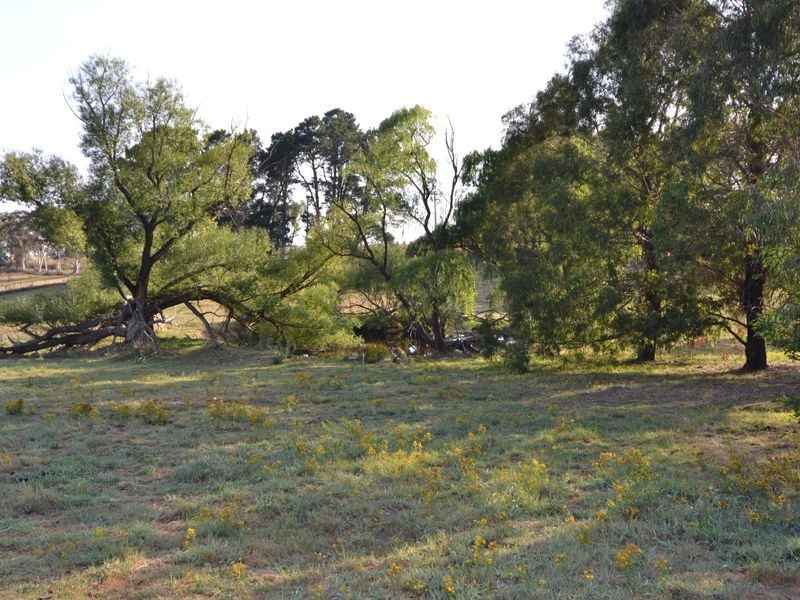 496 Back Cullen Road, Portland NSW 2847