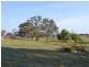 496 Back Cullen Road, Portland NSW 2847
